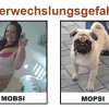Verwechslungsgefahr