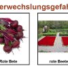 Verwechslungsgefahr