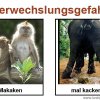 Verwechslungsgefahr