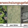 Verwechslungsgefahr